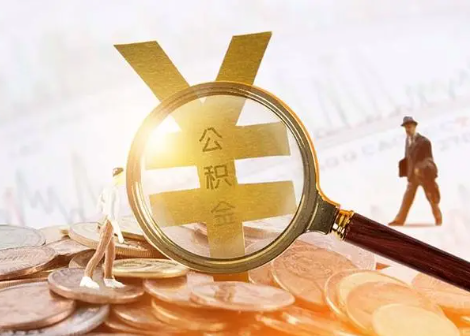 日照2025年政策调整对个人影响综合解析‌
